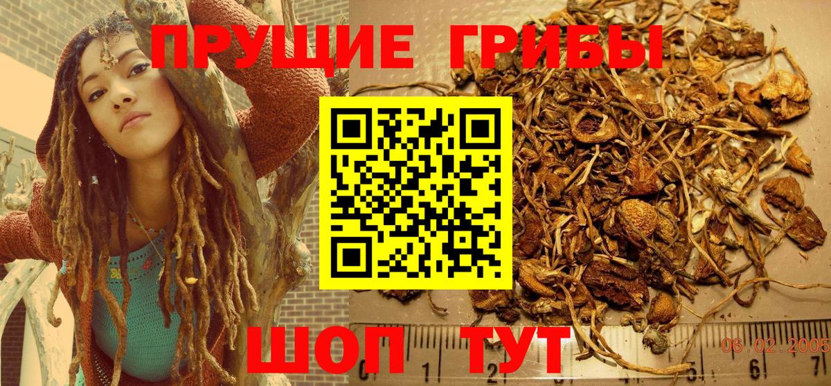 Галлюциногенные грибы ЛСД  Вход с VPN  Галлюциногенные грибы Psilocybine cubensis  Белорецк 